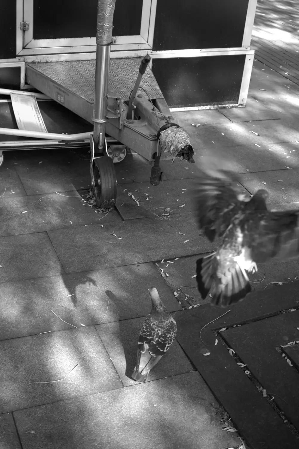 Falling apart, photo 1 of 3, by Bart Pierreux